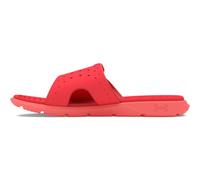 Under Armour Ignite Pro Slide Sandalo Donna, (603) Solstizio Rosso/Coho/Coho, 39 EU