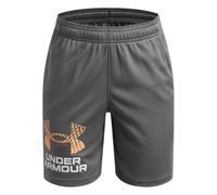 Under Armour Under Armour Tech™ LogoShorts Shorts L Grigio