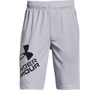 Under Armour UA Prototype 2.0 Logo Shorts Shorts YMD Grigio