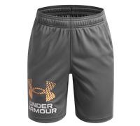 Under Armour Under Armour Tech™ LogoShorts Shorts L Grigio