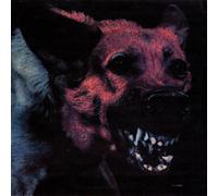 Under Color Of Official Right-Protomartyr-Vinile