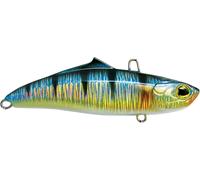 UNDER SILENT MAX - HOLO STRIPED BLUE - 5 scatole uguali