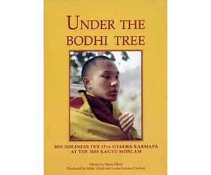 Under the Bodhi Tree
