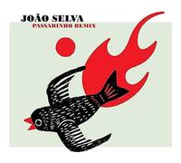 UNDERDOG REC joao selva-passarinho remix lp vinyl