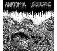 Undergang/Anatomia Split (Vinyl LP) 12" Album