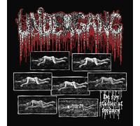 Undergang De Syv Stadier Af Fordaerv (CD) EP