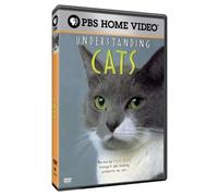 Understanding Cats (DVD)
