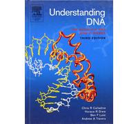 Understanding DNA: The Molecule & How It Works