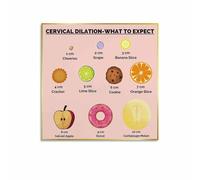 Understanding Labor Poster Cervical Dilation and Effacement Modern Art Print for Maternity Wards Student Midwives Home Study(Framed,16x24inch(40x60cm))
