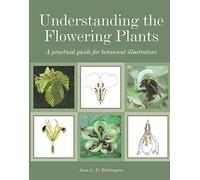 Understanding the Flowering Plants: A Practical Guide for Botanical Illustrators by Anne L. D. Bebbington(2015-03-01)