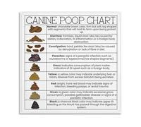 Understanding Your Dog’s Health Canine Stool Chart Poster Reference Guide for Pet Parents Canvas Print(Unframed,08x12inch(20x30cm))