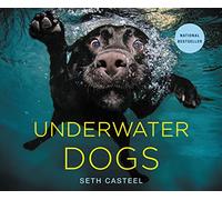 Underwater Dogs