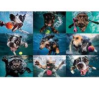 Underwater Dogs Maxi Poster, Legno, Multicolore
