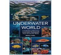 Underwater World: A Collection of Stunning Underwater Photographs from Around the World