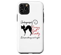Undiagnosed But Something Ain't Right Funny Crazy Cat Lady Custodia per iPhone 11 Pro