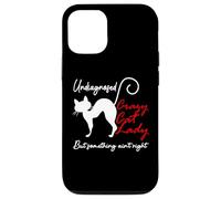 Undiagnosed But Something Aint Right Funny Crazy Cat Lady Custodia per iPhone 12/12 Pro