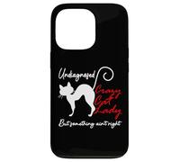 Undiagnosed But Something Aint Right Funny Crazy Cat Lady Custodia per iPhone 13 Pro