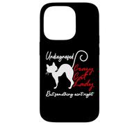 Undiagnosed But Something Aint Right Funny Crazy Cat Lady Custodia per iPhone 14 Pro