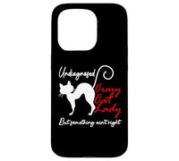 Undiagnosed But Something Aint Right Funny Crazy Cat Lady Custodia per iPhone 15 Pro