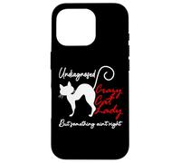Undiagnosed But Something Aint Right Funny Crazy Cat Lady Custodia per iPhone 16 Pro