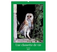 Une chouette de vie, les oiseaux (Calendrier mural 2027 DIN A2 horizontal), CALVENDO calendrier mensuel: Les chouettes qui peuplent notre environnement
