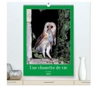 Une chouette de vie, les oiseaux (Calendrier mural haut de gamme 2027 DIN A2 horizontal), CALVENDO calendrier mensuel: Les chouettes qui peuplent notre environnement