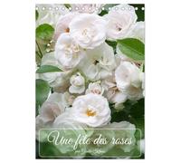 Une fête des roses (Calendrier de bureau 2026 DIN A5 horizontal), CALVENDO calendrier mensuel: La floraison des roses est toujours un festival pour les sens