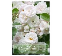 Une fête des roses (Calendrier mural 2026 DIN A3 horizontal), CALVENDO calendrier mensuel: La floraison des roses est toujours un festival pour les sens