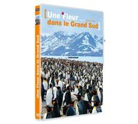 Une fleur dans le grand sud