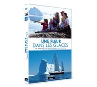 Une fleur dans les glaces
