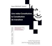 Une méta-Constitution, la Constitution de transition: 225