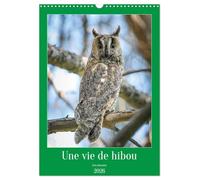Une vie de hibou les oiseaux (Calendrier mural 2026 DIN A3 horizontal), CALVENDO calendrier mensuel: À la découverte des oiseaux qui nous entourent