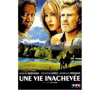 Une vie inachevée