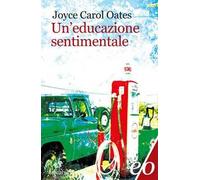 Un'educazione sentimentale
