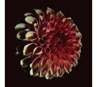 Jessica Moss Unfolding (CD) Album
