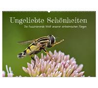 Ungeliebte Schönheiten - die faszinierende Welt unserer heimischen Fliegen (Wandkalender 2026 DIN A2 quer), CALVENDO Monatskalender: Niemand mag sie: ... Geschöpfe, wenn man nur genau hinsieht