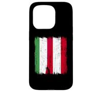 Ungheria Austria Mezza bandiera Ungherese Austria Patrimonio Custodia per iPhone 15 Pro