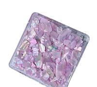 Unghie Gioielli Shell Irregolare Breakable Abalone Fette Conchiglie Decorazione per Suggerimenti Gioielli Decorazione di Bellezza Pezzi di Shell del Chiodo Strumenti Manicure Decorazioni per Unghie