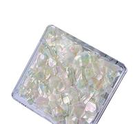 Unghie Gioielli Shell Irregolare Breakable Abalone Fette Conchiglie Decorazione per Suggerimenti Gioielli Decorazione di Bellezza Pezzi di Shell del Chiodo Strumenti Manicure Decorazioni per Unghie