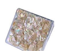Unghie Gioielli Shell Irregolare Breakable Abalone Fette Conchiglie Decorazione per Suggerimenti Gioielli Decorazione di Bellezza Pezzi di Shell del Chiodo Strumenti Manicure Decorazioni per Unghie