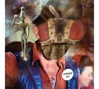 UNHAPPY FLY - DEBUT LP - Vinyl Record - K72z