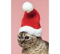 Unhappy Santa Cat Notebook: Lined Christmas Notepad A5 size 100 pages: Christmas Memories Journal Matte Cover Mini Notepads