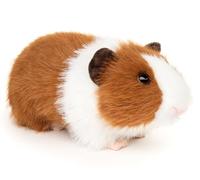 Uni-Toys - Porcellino d'India (marrone-bianco) - 21 cm (lunghezza) - peluche, peluche