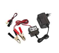 Lampa Allenatore automatico per batterie Uni Trainer 12V 300 mA