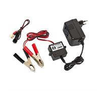 Uni Trainer, allenatore automatico per batterie 12V - 300 mA, con pinze e cavi