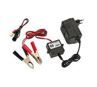 Uni Trainer, allenatore automatico per batterie 12V - 300 mA