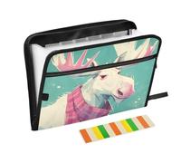 Unico Alce Colore Pastello Espandibile Cartella di File Organizer 13 Tasche A4 Formato Lettera con Chiusura a Cerniera per Business Documento File Cartella Carpetas de