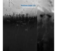 Unidentifiable - Matthew Shipp (Audio cd)