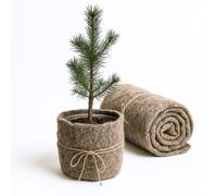 UNIGARDIA Tappetino ecologico in lana di pecora, 0,8 x 5 m, protezione invernale in lana di pecora per piante, 100% lana di pecora biologica, tessuto non tessuto invernale per piante da vaso,