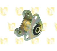 Unigom 395339 Supporto Posteriore SX Motore